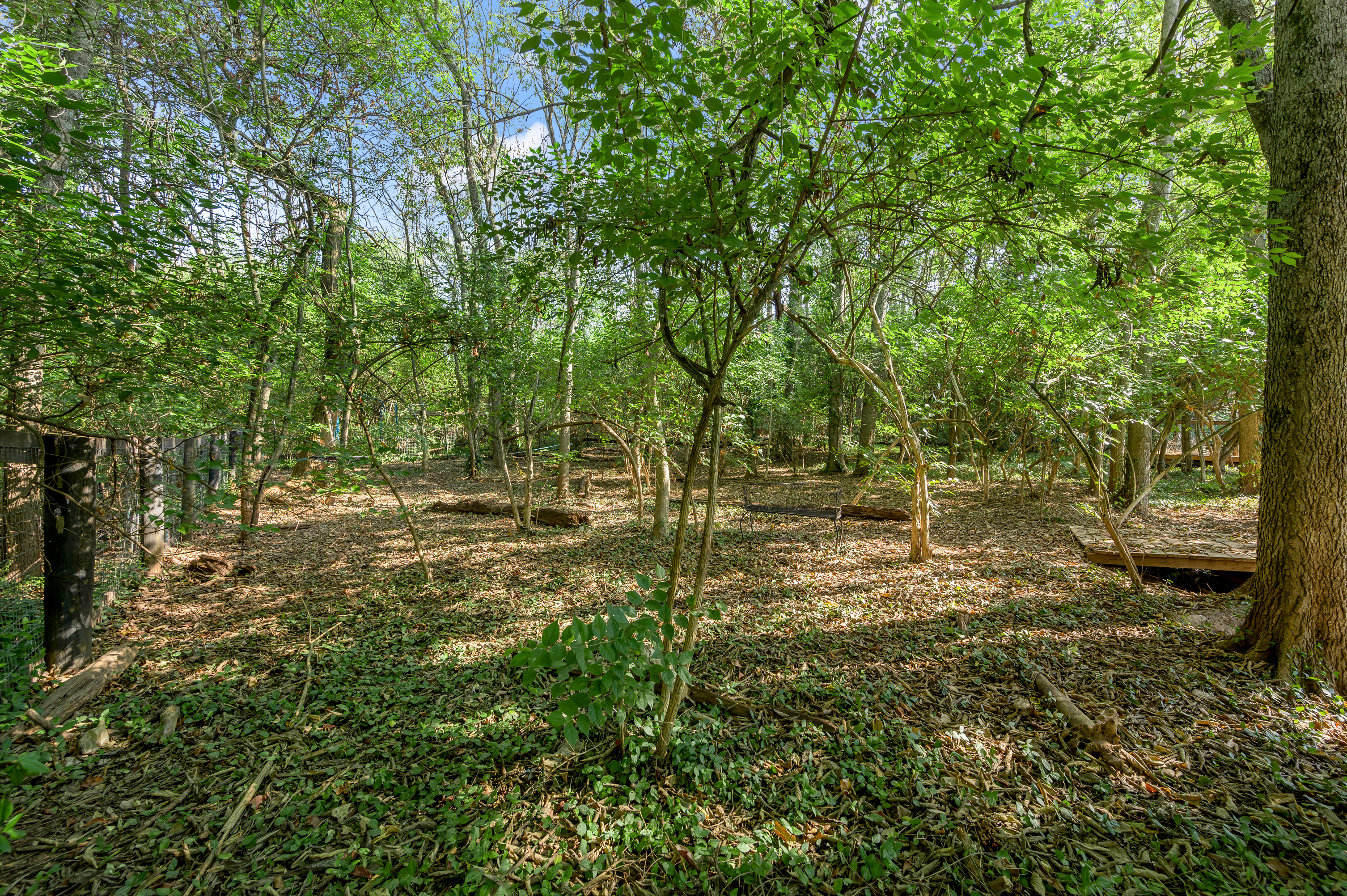  4060 Greentree Road - 物件實景