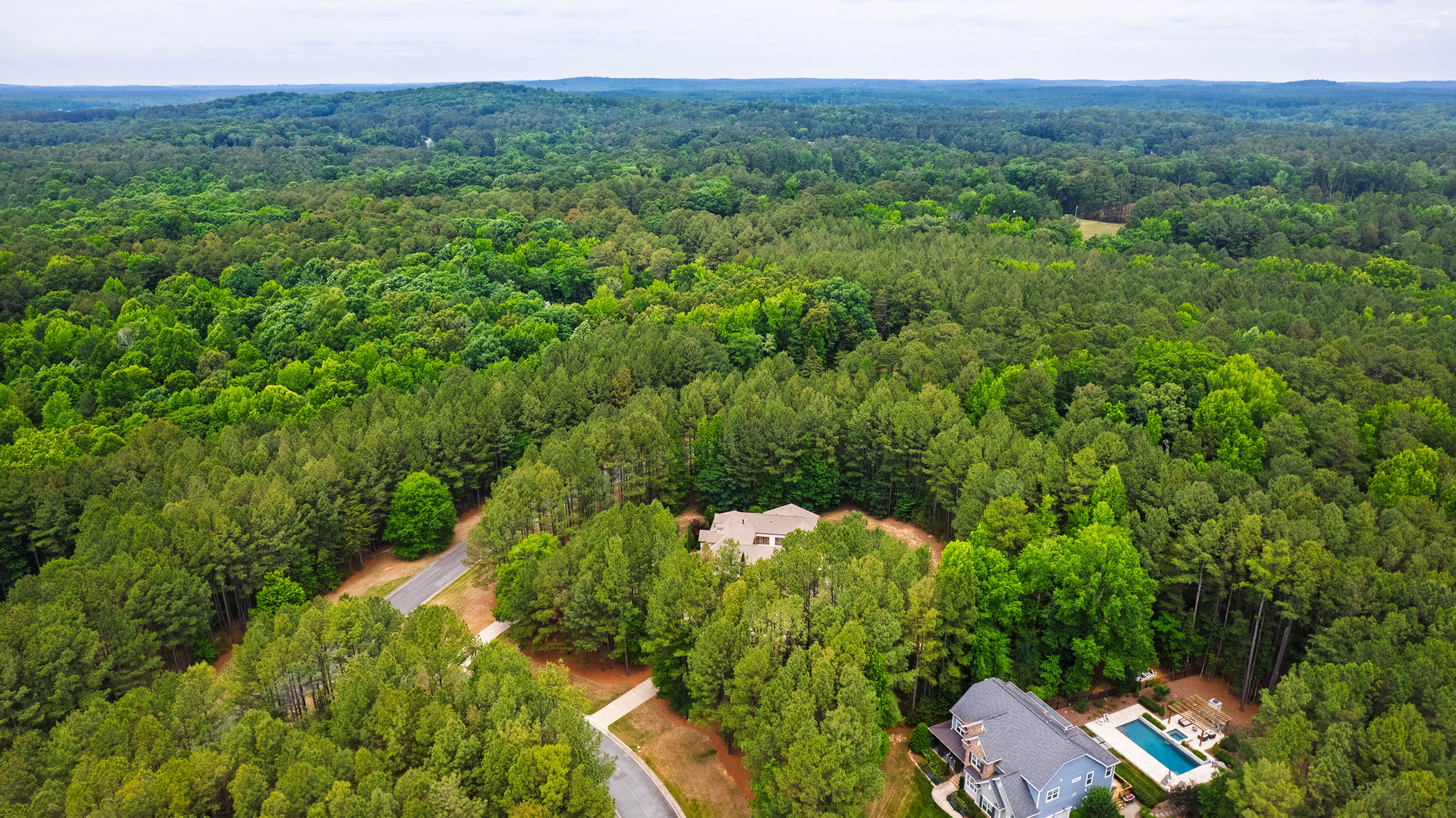  309 Weston Lane, Chapel Hill, NC 27516 - 物件實景