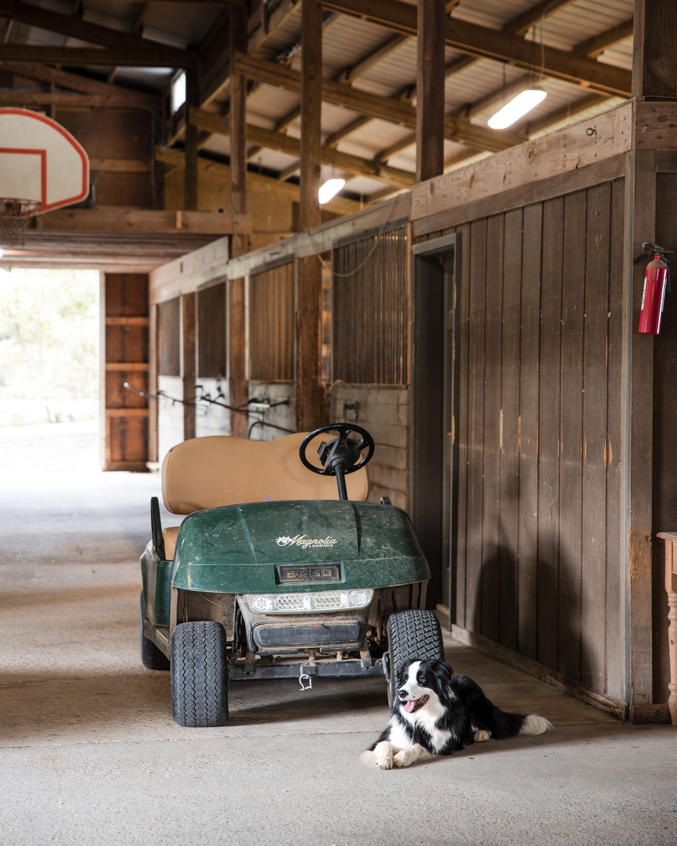  Rare Equestrian Facility with Prestigious Address - 物件實景