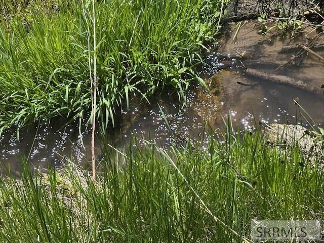 RIRIE, Idaho, 83443, United States, ,Residential,For Sale,1974893