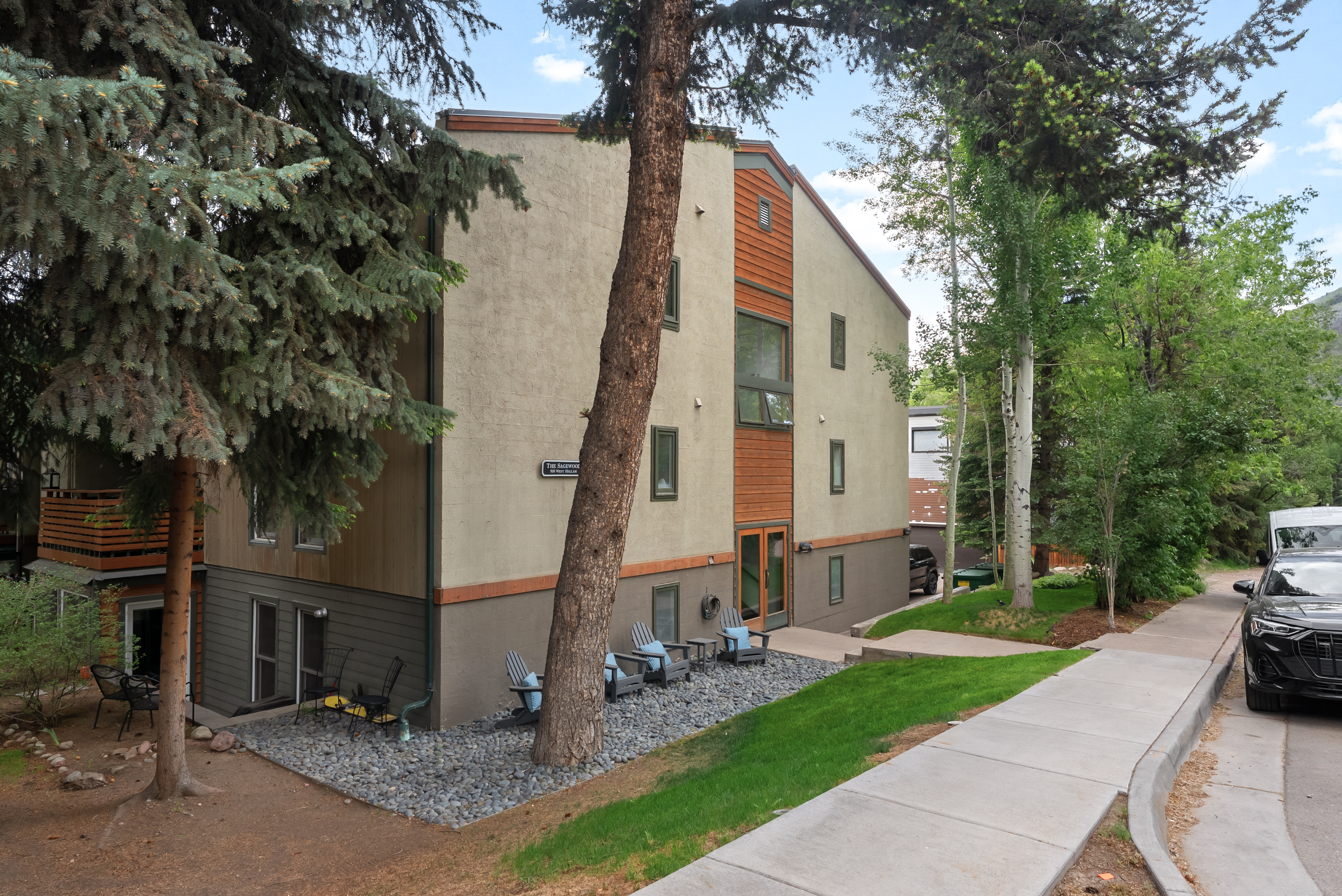  910 W Hallam Street, Aspen, CO, 81611 - 物件實景
