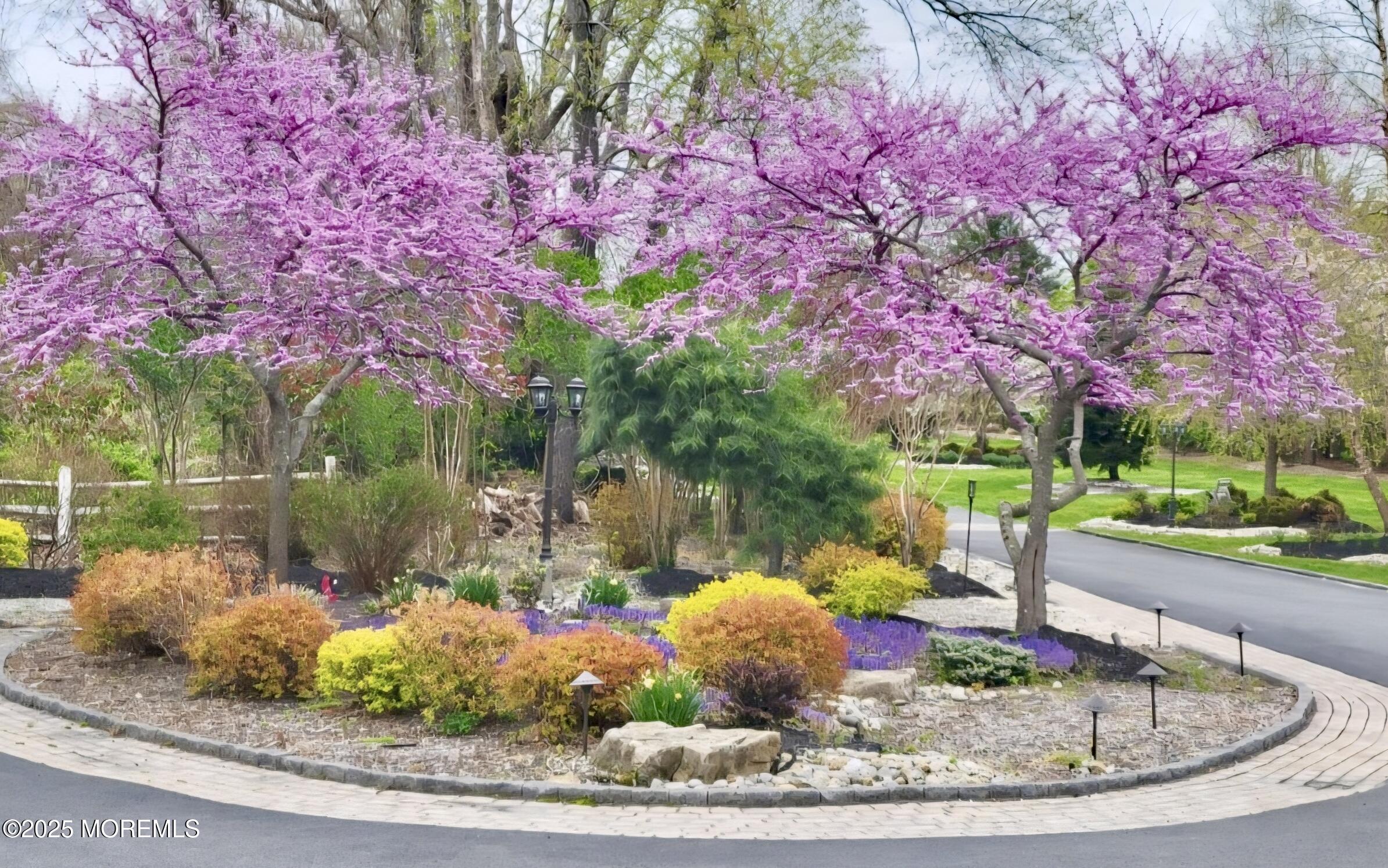 Wall, New Jersey, 07719, United States, 6 Bedrooms Bedrooms, ,4 BathroomsBathrooms,Residential,For Sale,2003107