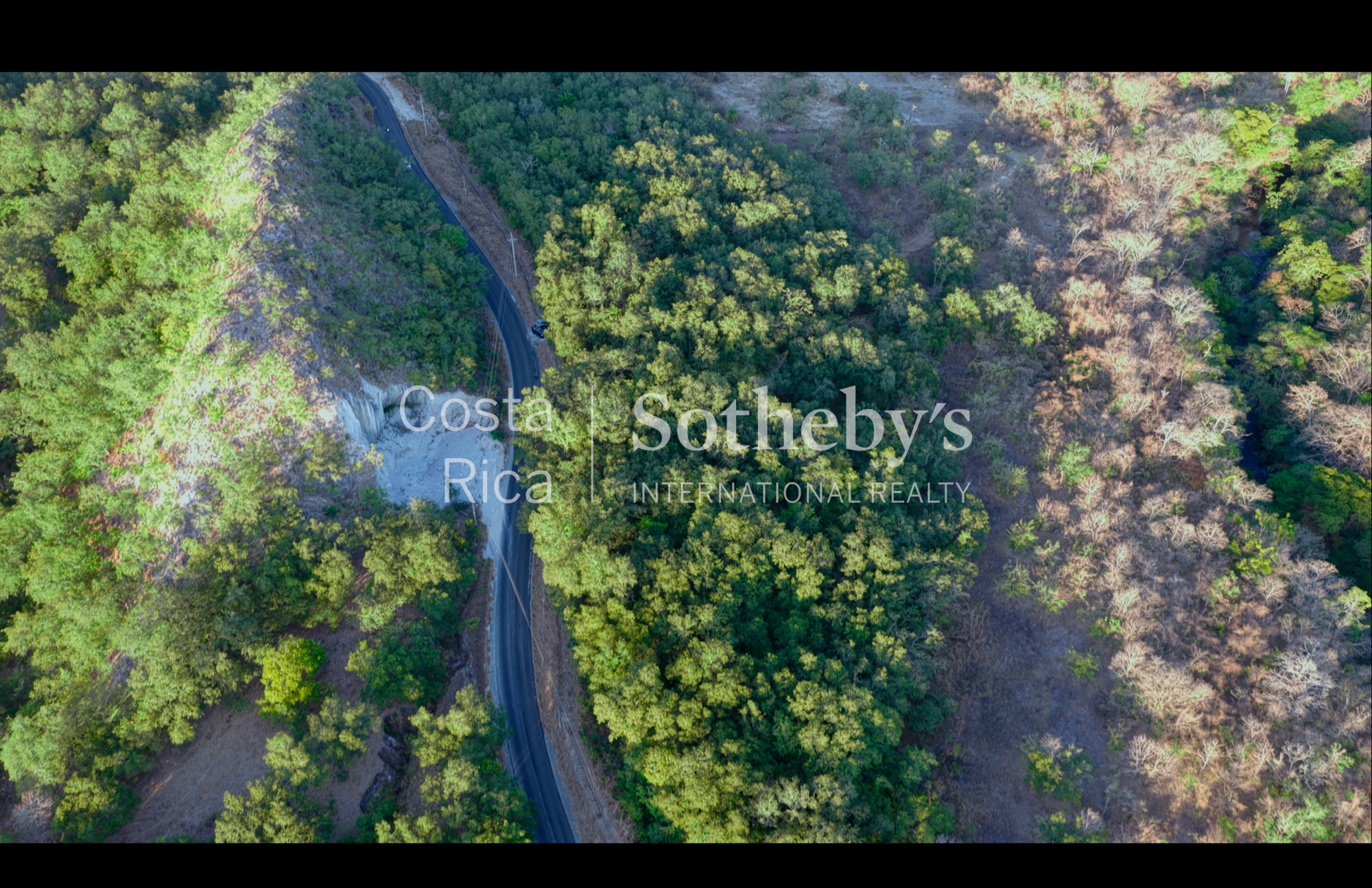  Curubande River Forest Treasure - 物件實景