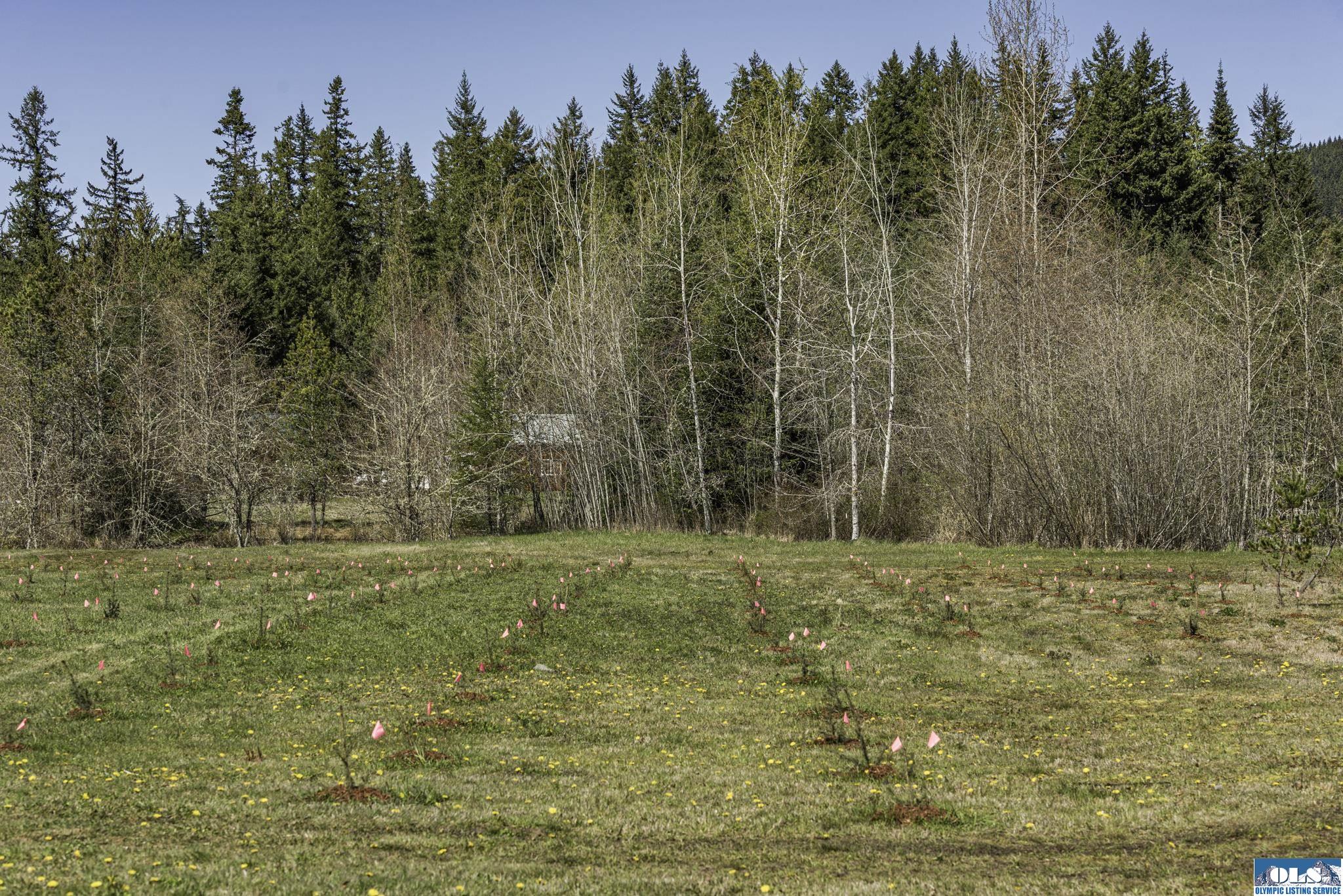 Sequim, Washington, 98382, United States, ,Land,For Sale,1787569