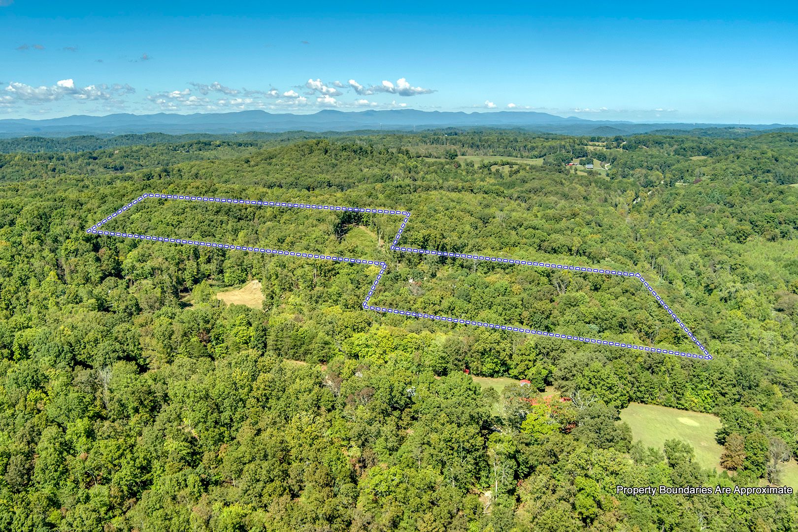 Kingston, Tennessee, 37763, United States, 5 Bedrooms Bedrooms, ,5 BathroomsBathrooms,Residential,For Sale,2011404