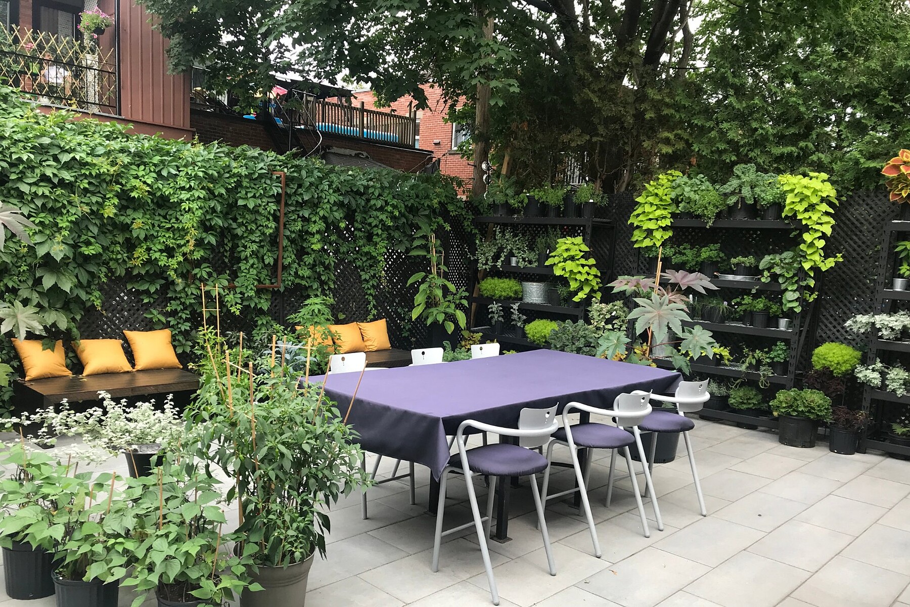  Ahuntsic-Cartierville, Montréal - 物件實景