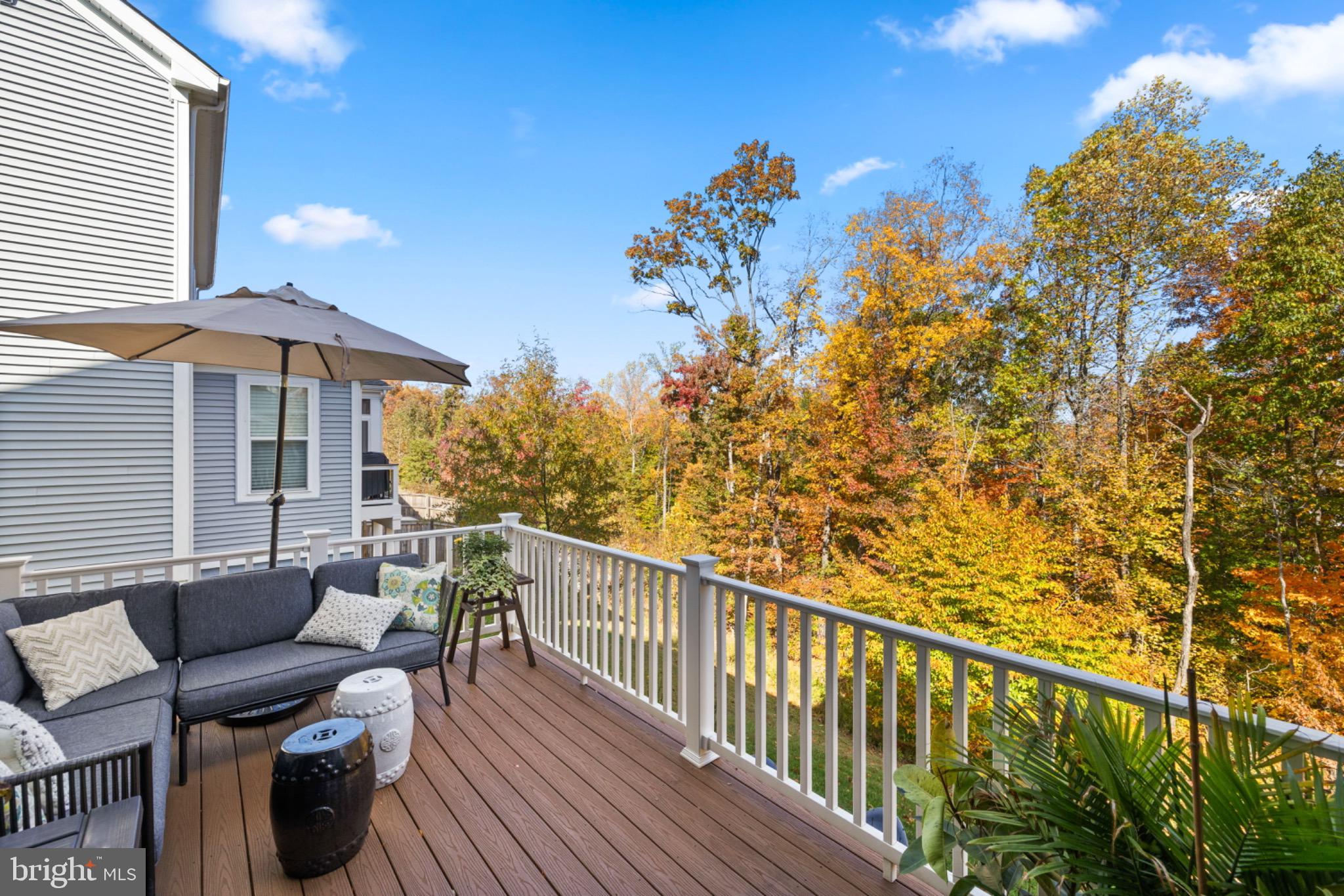 Stafford, Virginia, 22554, United States, 4 Bedrooms Bedrooms, ,5 BathroomsBathrooms,Residential,For Sale,1988642