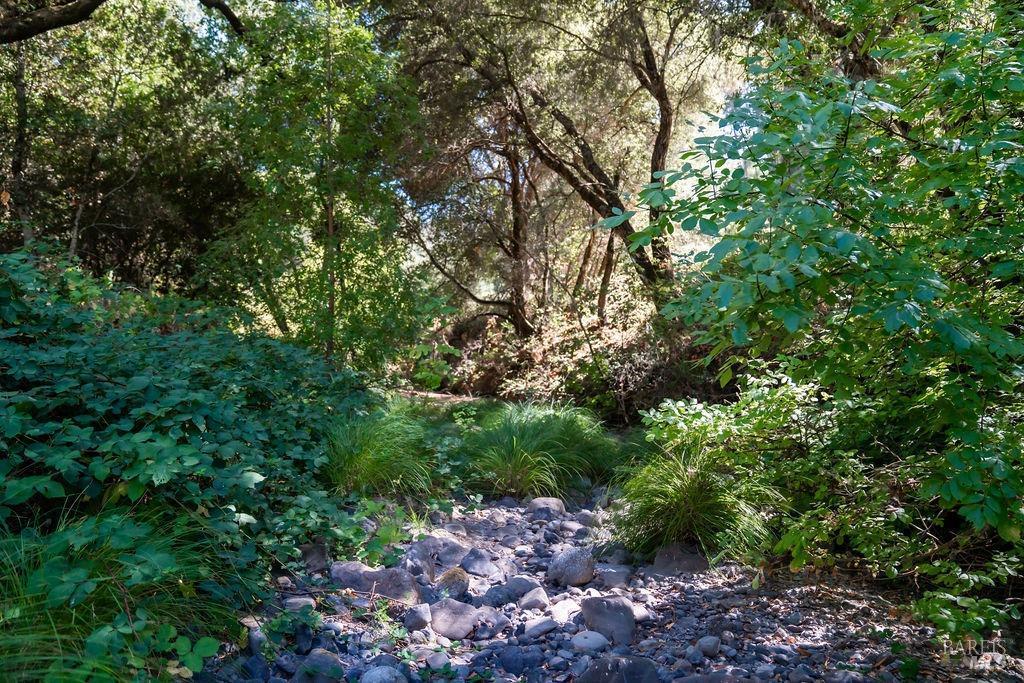 St. Helena, California, 94574, United States, ,Residential,For Sale,1846631