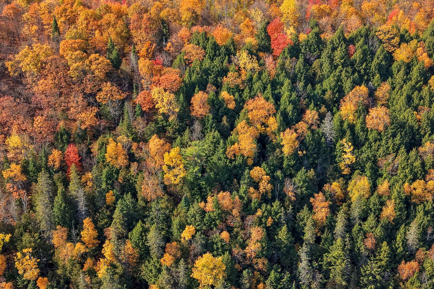  Lac-Simon, Outaouais - 物件實景