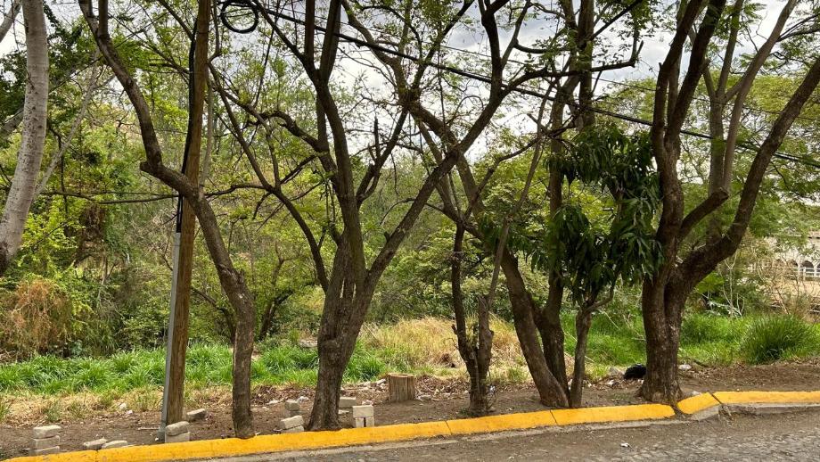 Av. Bosques de San Isidro Sur, Zapopan, Jalisco, 45133, Mexico, 1 Bedroom Bedrooms, ,Residential,For Sale,Av. Bosques de San Isidro Sur,1588840