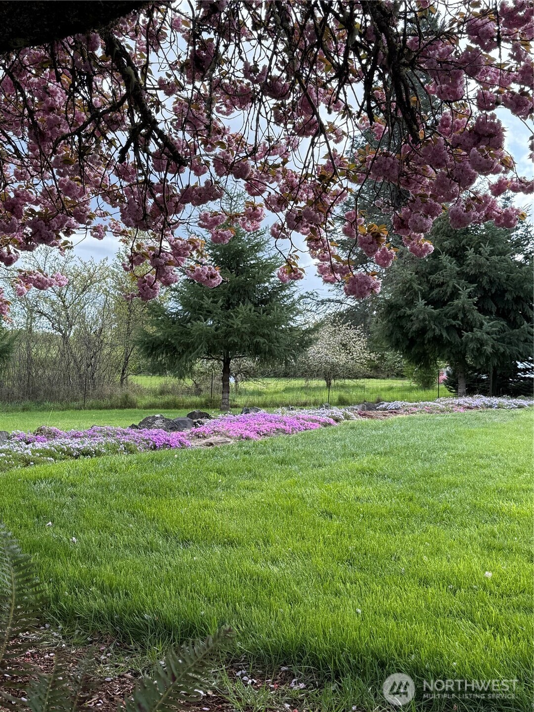 Winlock, Washington, 98596, United States, 3 Bedrooms Bedrooms, ,2 BathroomsBathrooms,Residential,For Sale,2015352