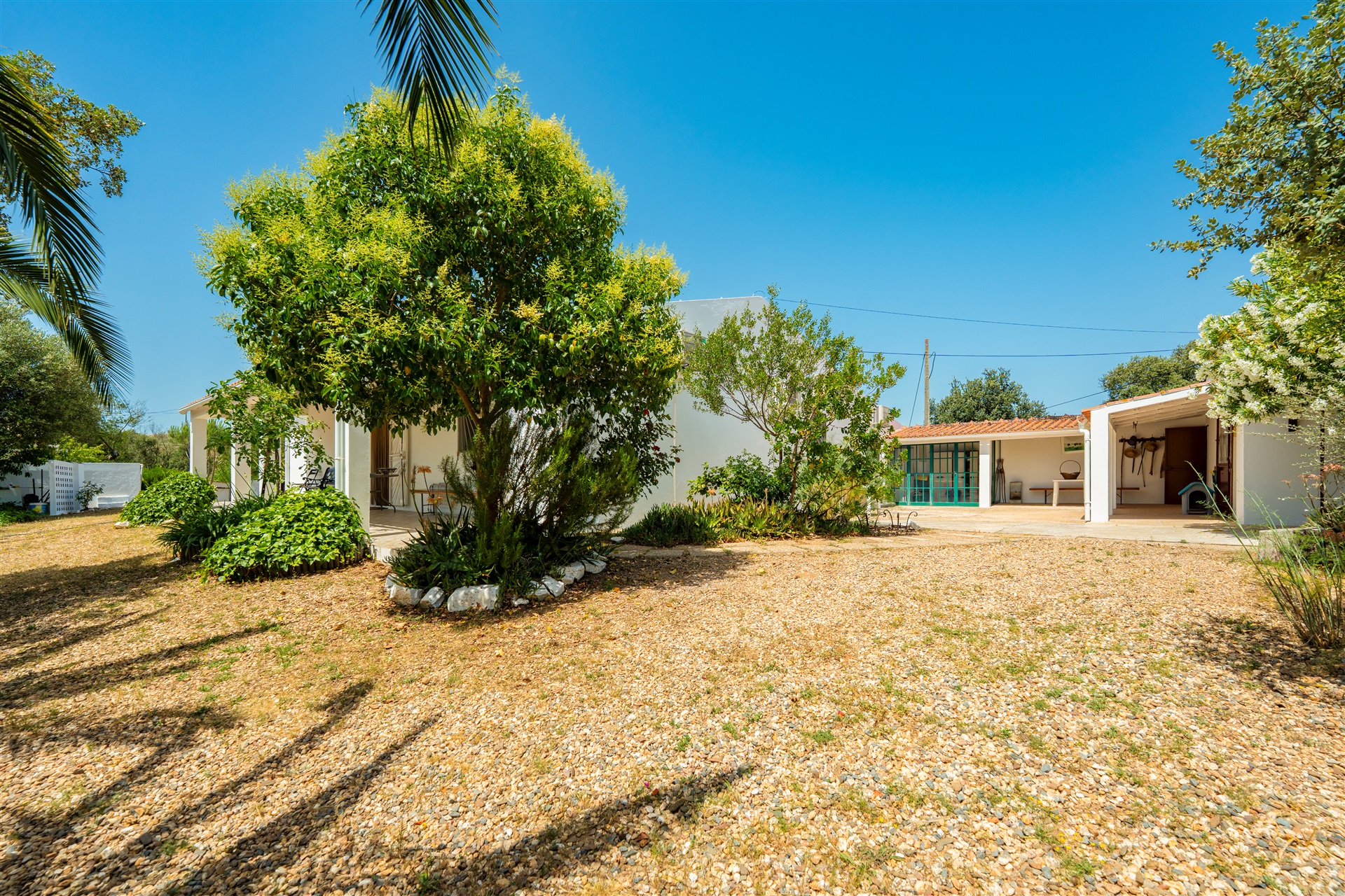  Farm, 4 bedrooms, for Sale - 物件實景