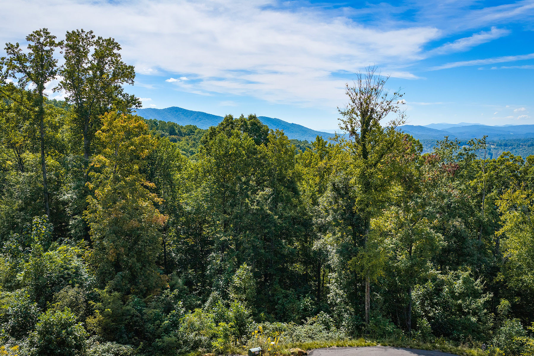  SPRUCE PINE - SUMMIT VIEW - 物件實景