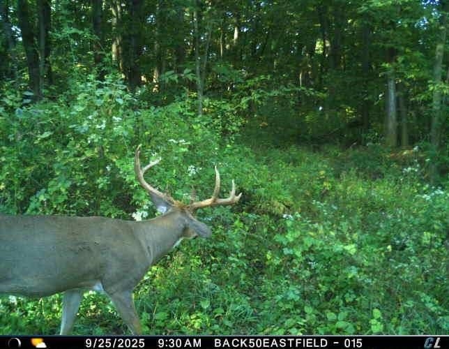 Muscoda, Wisconsin, 53573, United States, 3 Bedrooms Bedrooms, ,3 BathroomsBathrooms,Residential,For Sale,1990387