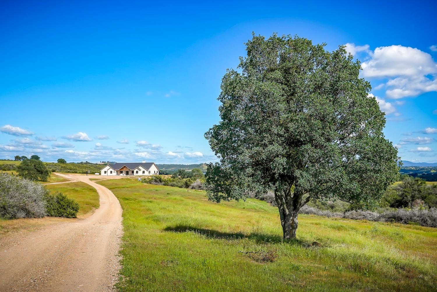 Burson, California, 95225, United States, 4 Bedrooms Bedrooms, ,4 BathroomsBathrooms,Residential,For Sale,2040271
