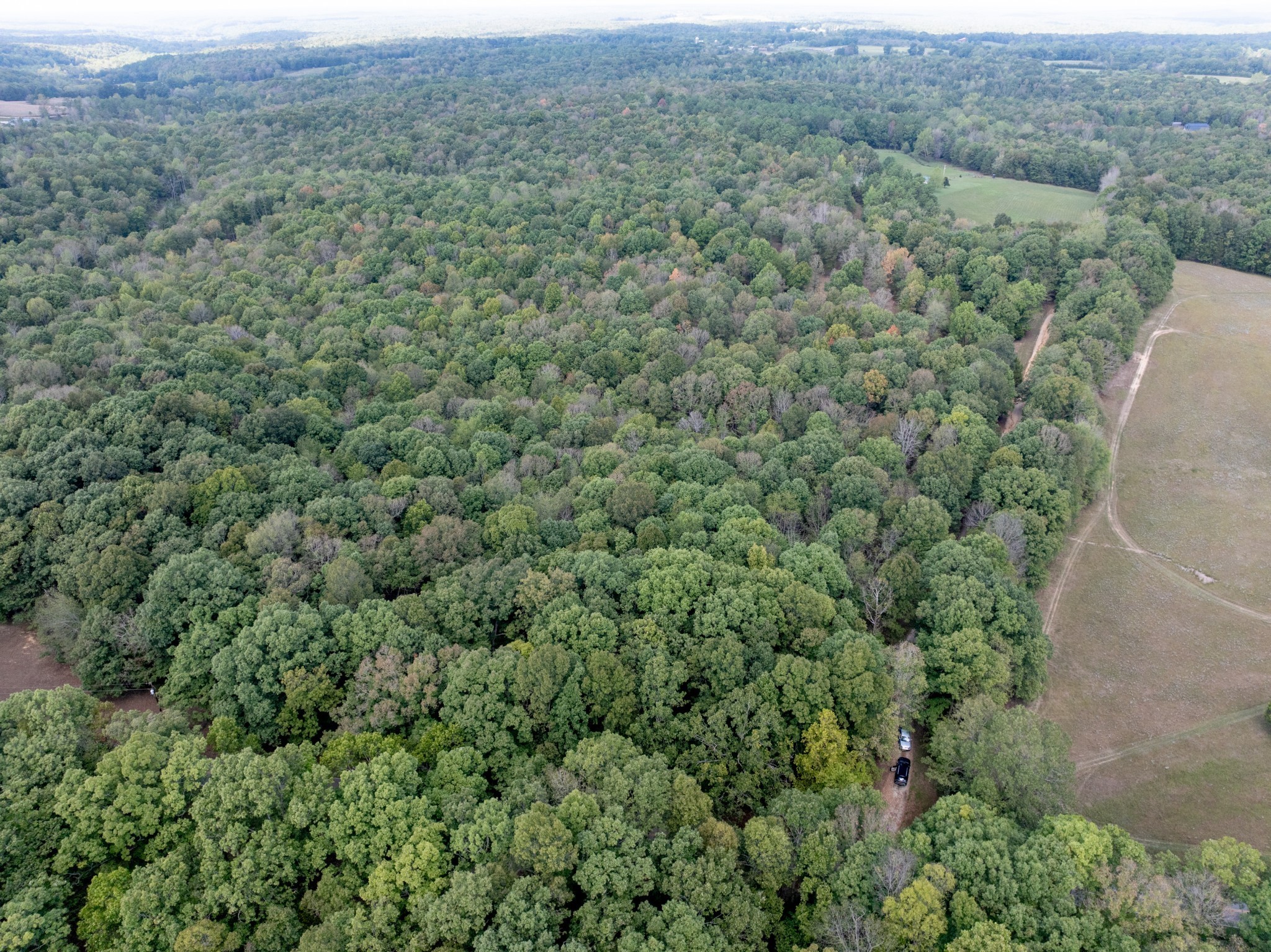 Mc Ewen, Tennessee, 37101, United States, ,Residential,For Sale,1923664