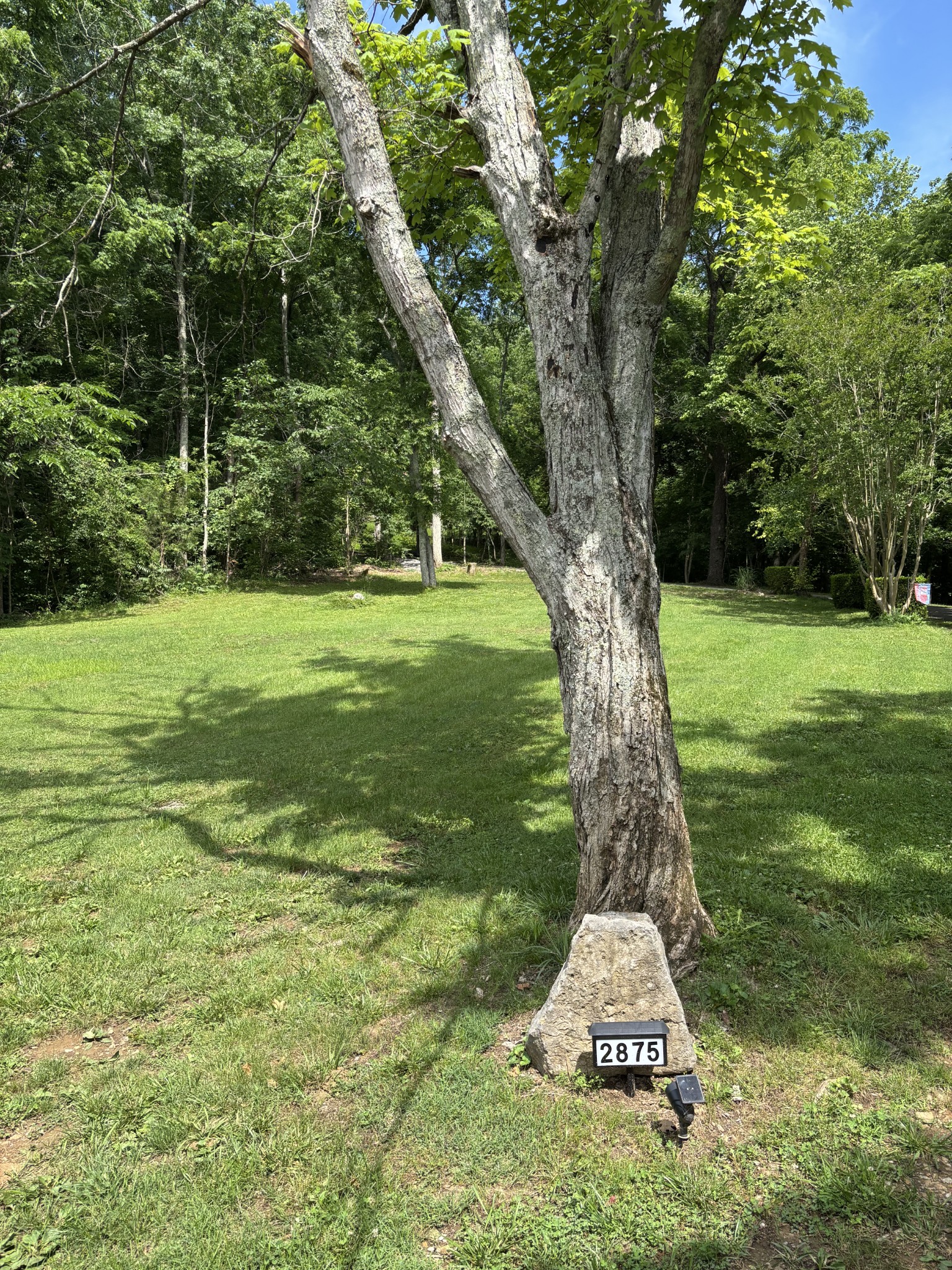 Goodlettsville, Tennessee, 37072, United States, 3 Bedrooms Bedrooms, ,3 BathroomsBathrooms,Residential,For Sale,2048895