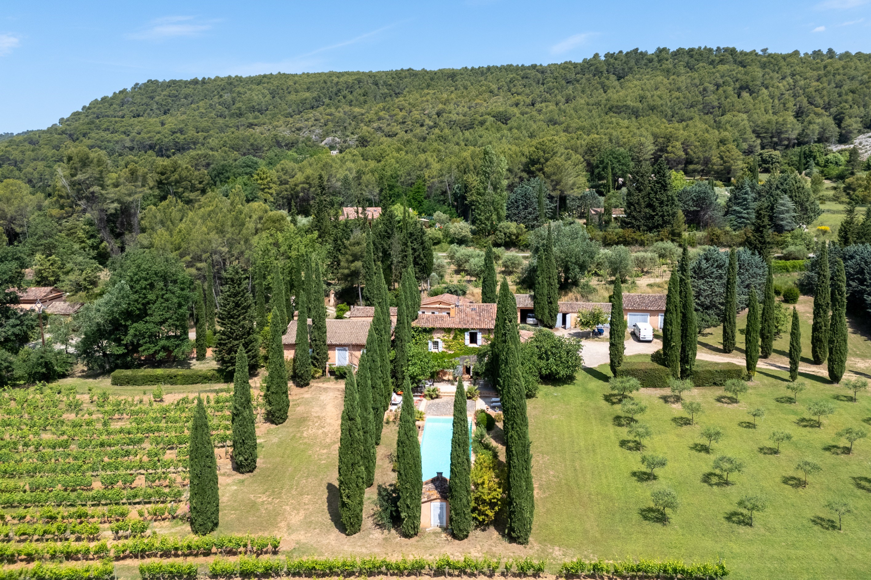  Charming Wine Estate in the Heart of Provence - 物件實景