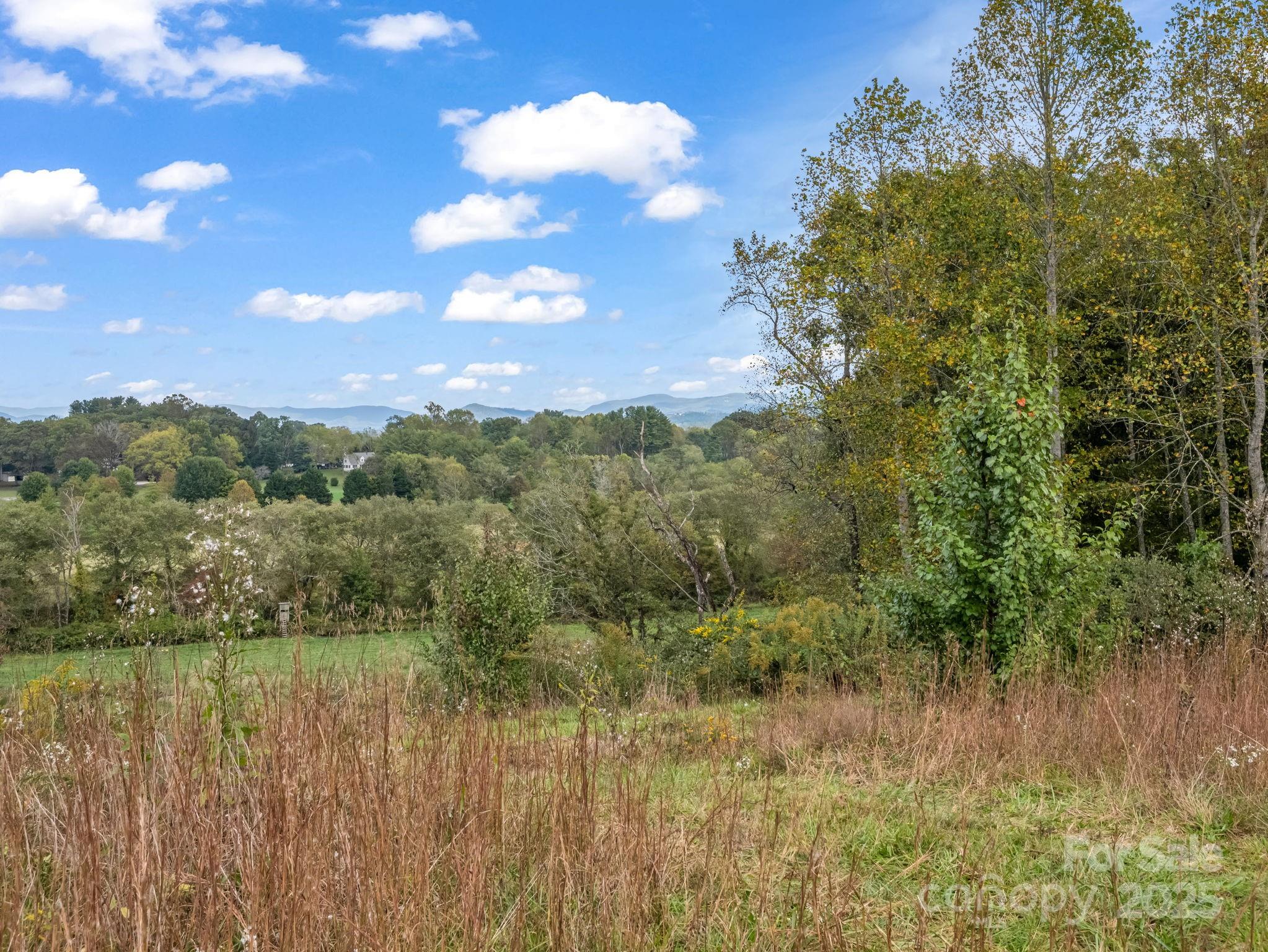 Mills River, North Carolina, 28759, United States, ,Land,For Sale,1975215