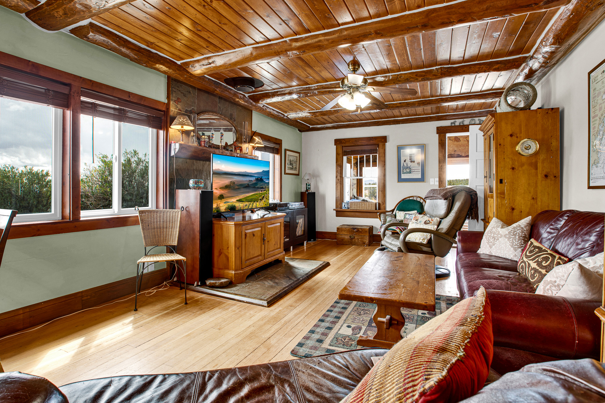  728 Front Street, Fairplay, CO, 80440 - 物件實景