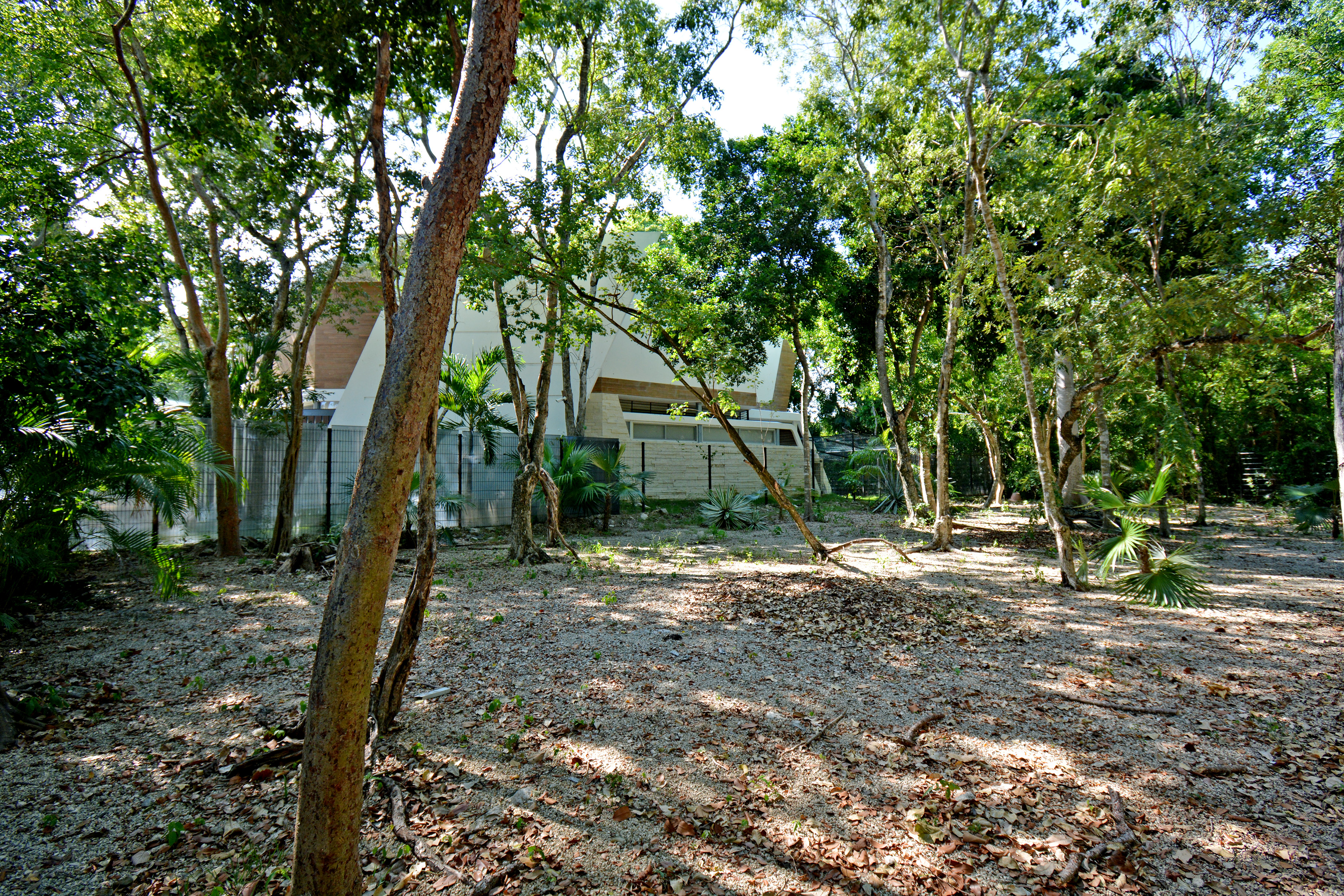  RESIDENTIAL LOT - 物件實景