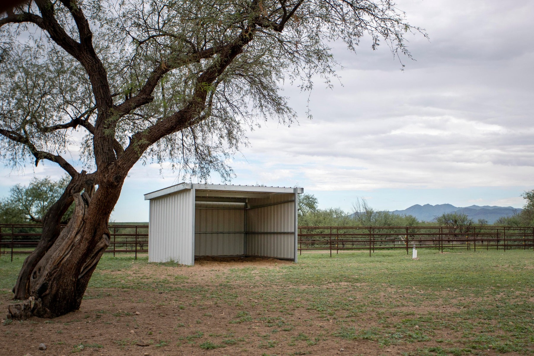  3155 W Elephant Head Road¦Amado, AZ - 物件實景