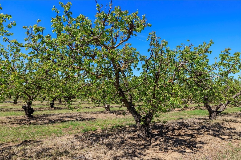 Patterson, California, 95360, United States, ,Residential,For Sale,1756473
