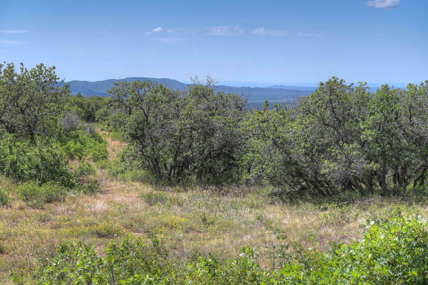  TBD Cross Creek Road, Hesperus, CO 81326 - 物件實景
