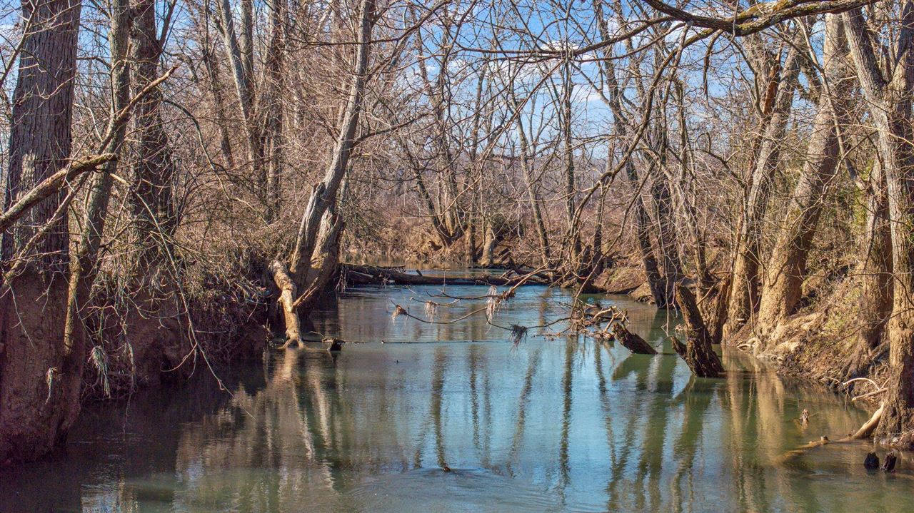 Lewisburg, Kentucky, 42256, United States, ,Land,For Sale,1688645