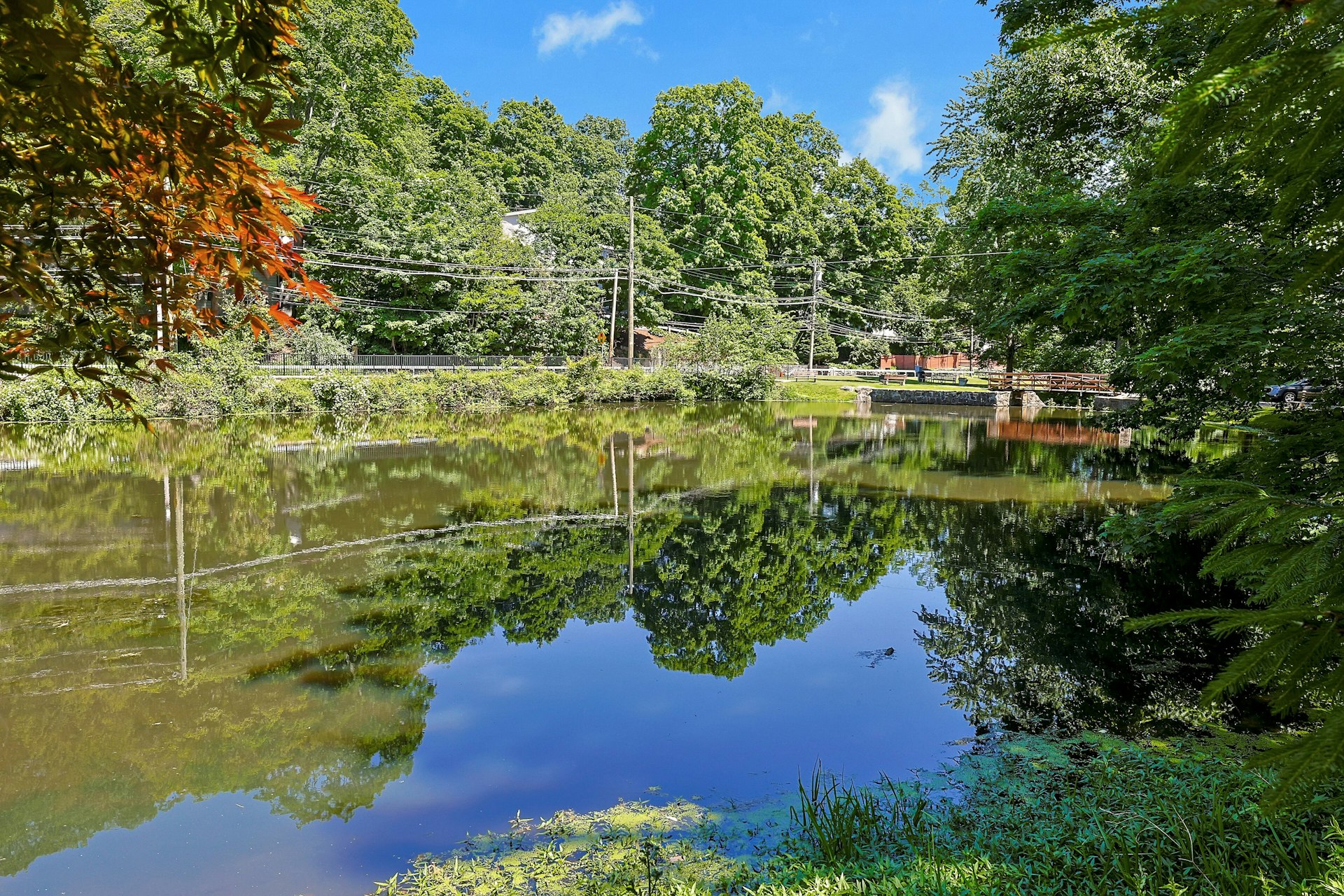  An Enchanting Dutch Colonial - 物件實景