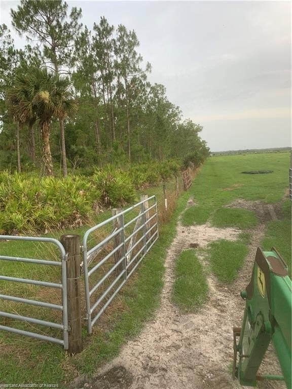 Venus, Florida, 33960, United States, ,Land,For Sale,1984372