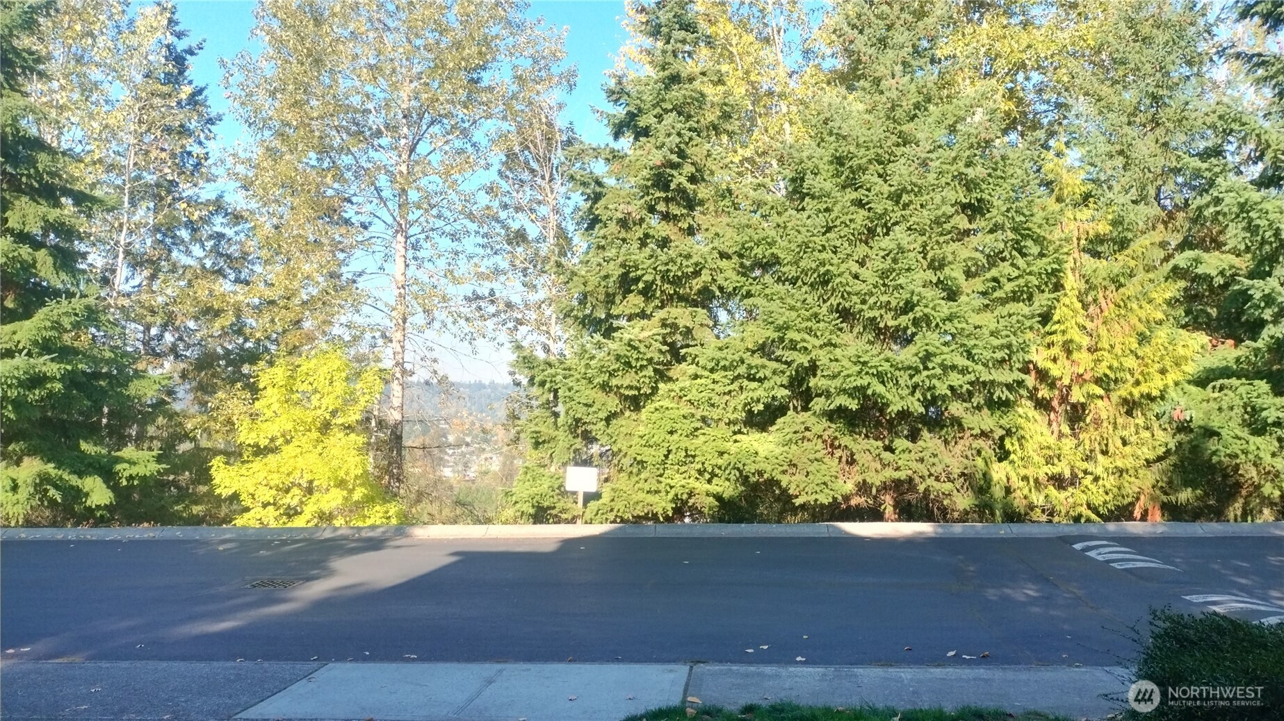 Auburn, Washington, 98092, United States, 4 Bedrooms Bedrooms, ,4 BathroomsBathrooms,Residential,For Sale,1977143