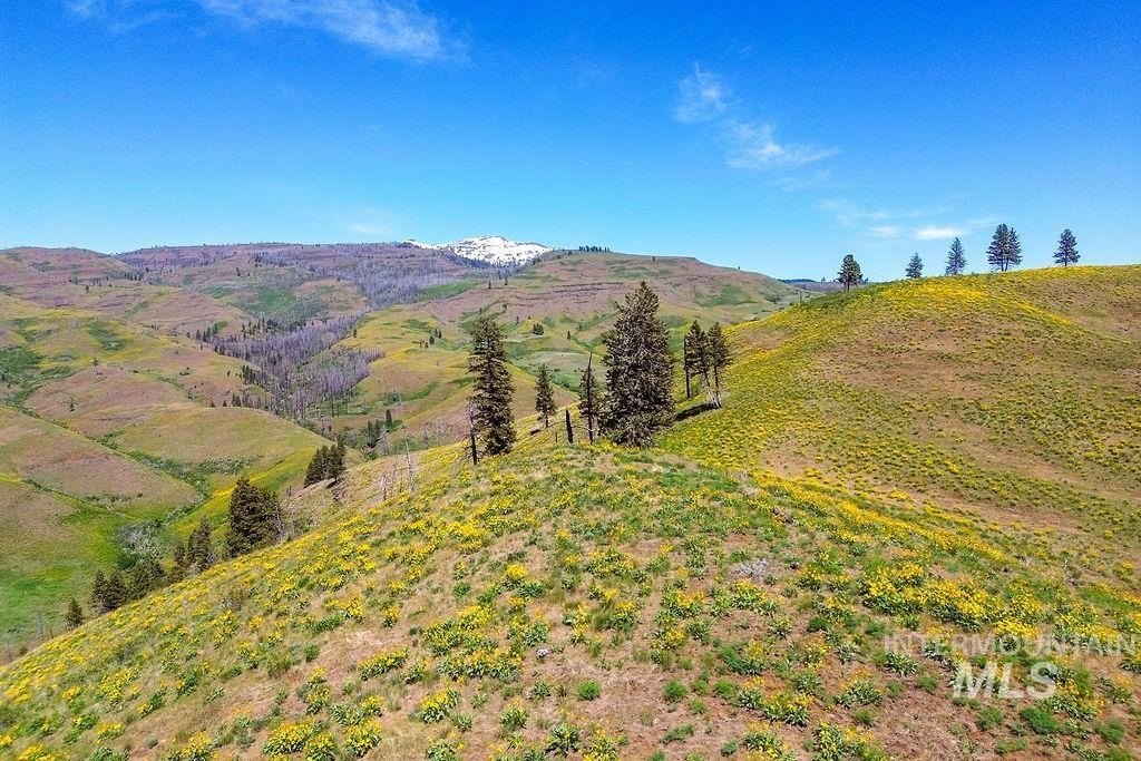 Council, Idaho, 83612, United States, ,Residential,For Sale,1862004