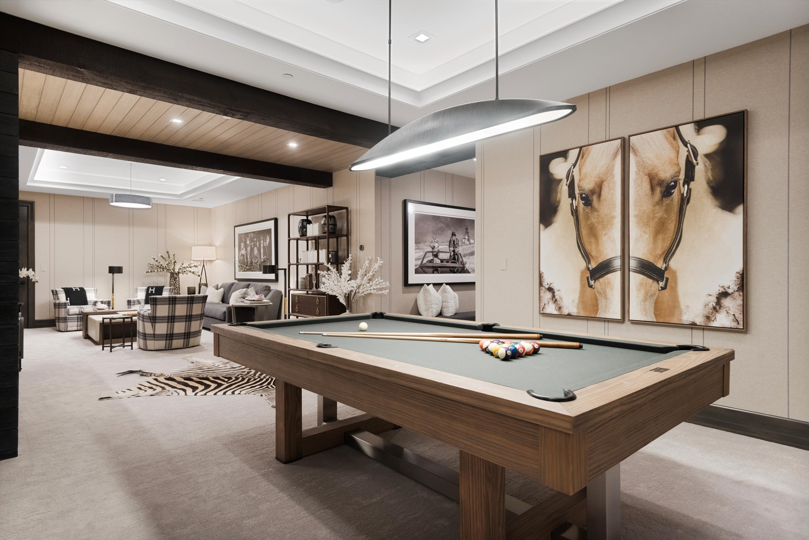  15 South Willow Court, Aspen, CO 81611 - 物件實景