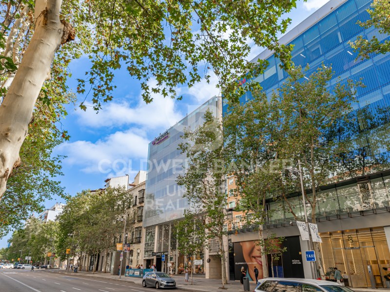Madrid, Madrid, Barrio de Salamanca, Castellana Ma, Madrid, Comunidad de Madrid, ES, 5 Bedrooms Bedrooms, ,6 BathroomsBathrooms,Residential,For Sale,Madrid, Madrid, Barrio de Salamanca, Castellana Ma,1670333