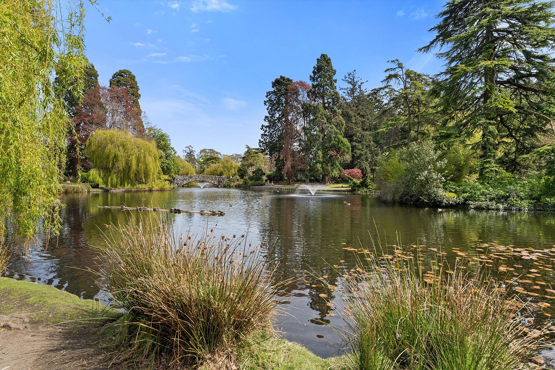  Bickerton Court - 物件實景