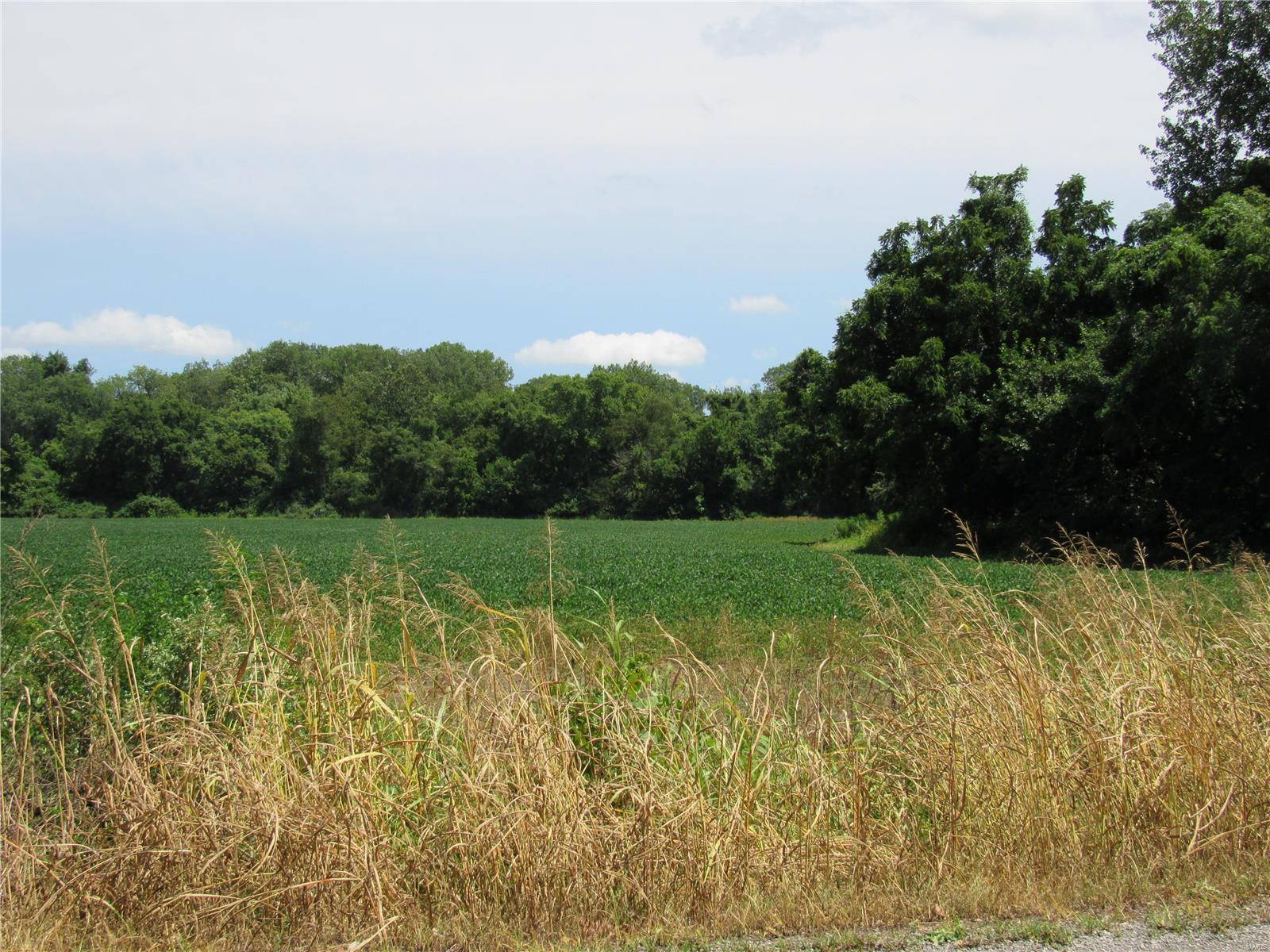 0 Wood Station Road, Alton, Illinois, 62002, United States, ,Residential,For Sale,0 Wood Station Road,1595953