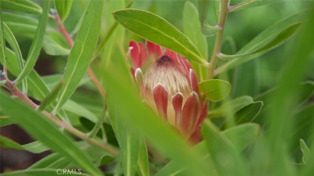 Agoura Hills, California, 91301, United States, 3 Bedrooms Bedrooms, ,1 BathroomBathrooms,Residential,For Sale,1992879