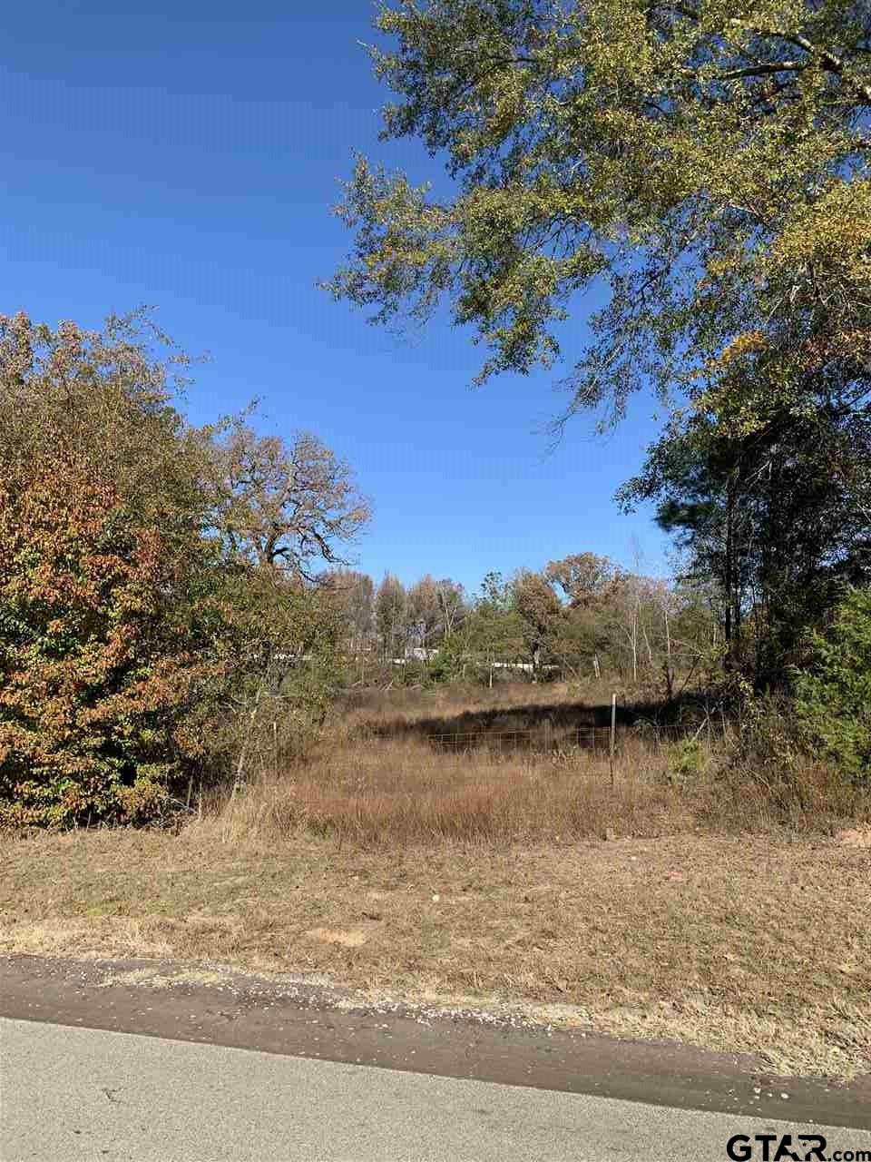 TBD CR 463 & I20, Lindale, Texas, 75771, United States, ,Land,For Sale,TBD CR 463 & I20,1673593