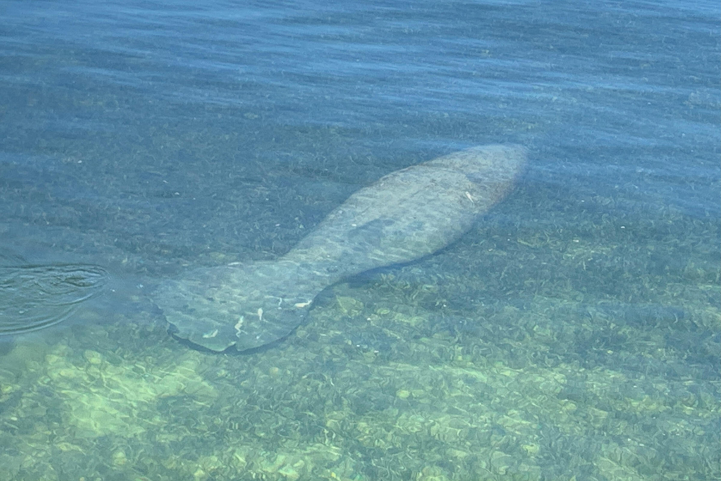 ISLAMORADA, Florida, 33036, United States, 3 Bedrooms Bedrooms, ,3 BathroomsBathrooms,Residential,For Sale,1997126