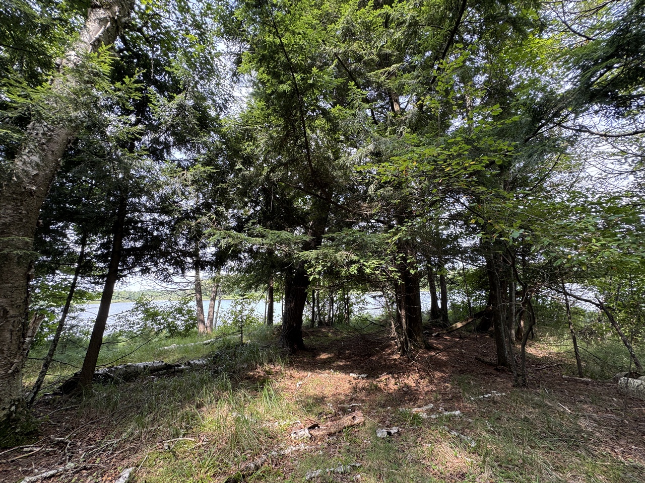 Mercer, Wisconsin, 54547, United States, 3 Bedrooms Bedrooms, ,1 BathroomBathrooms,Residential,For Sale,1974621