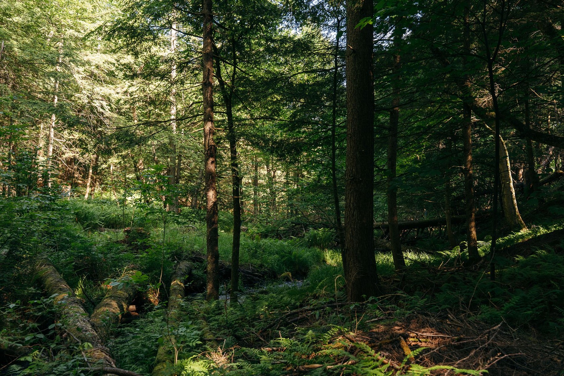  Sutton, Eastern Townships - 物件實景