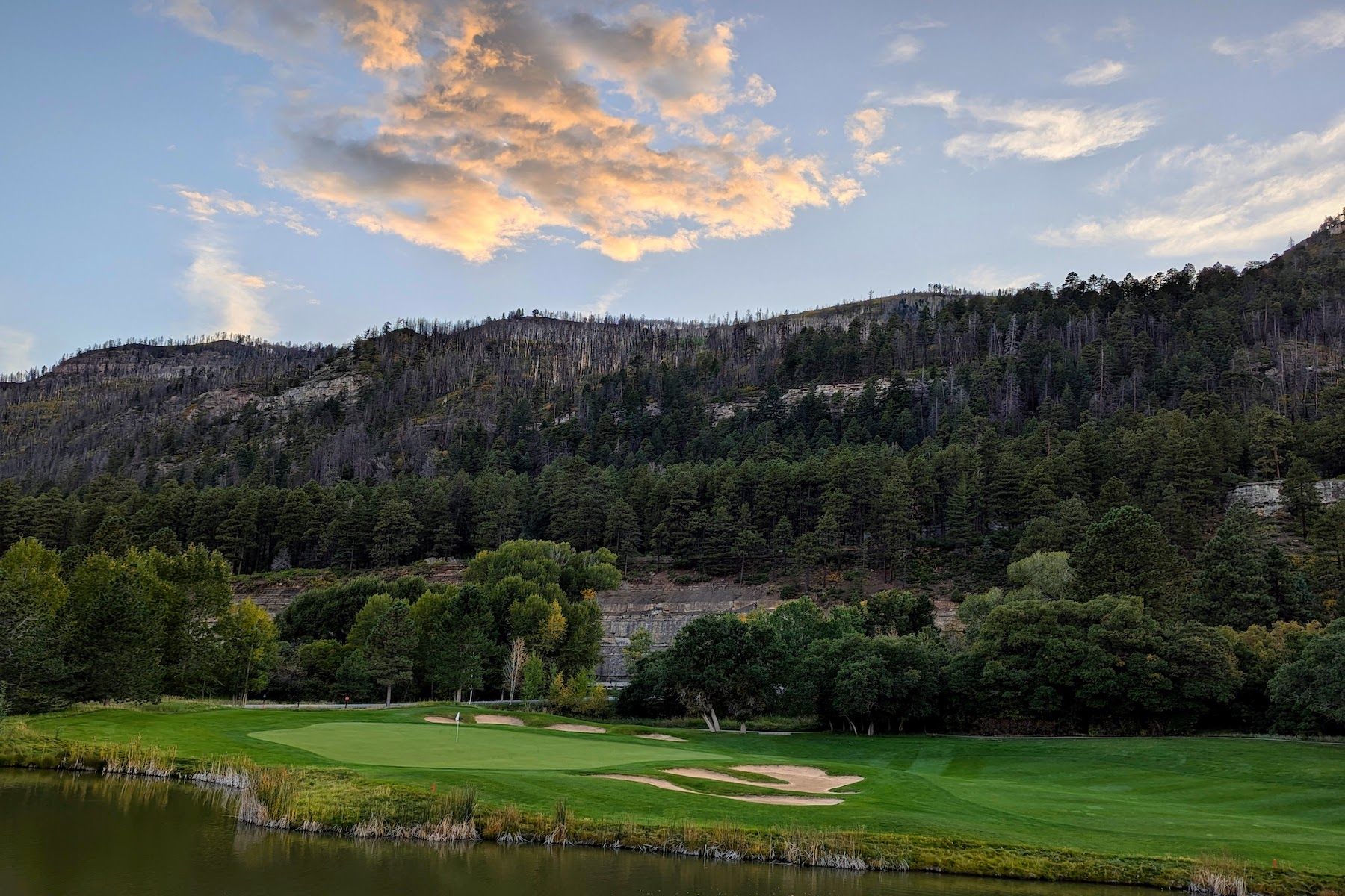  73 S Tamarron Drive #817, Durango, CO 81301 - 物件實景