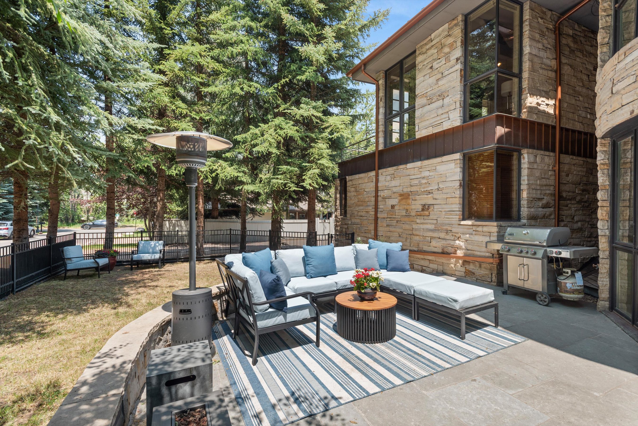  736 W Smuggler Street, Aspen, CO, 81611 - 物件實景