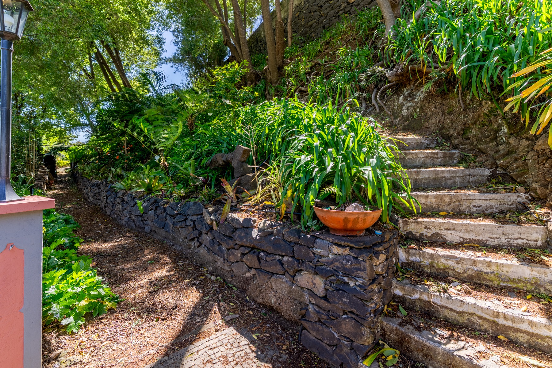  House, 3 bedrooms, for Sale - 物件實景