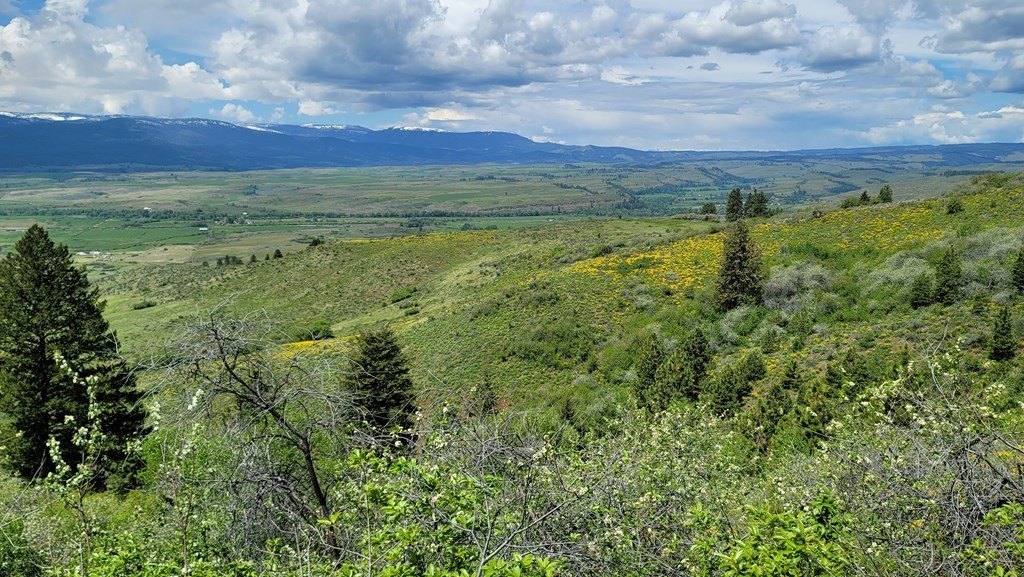 Council, Idaho, 83612, United States, 3 Bedrooms Bedrooms, ,2 BathroomsBathrooms,Residential,For Sale,1980798