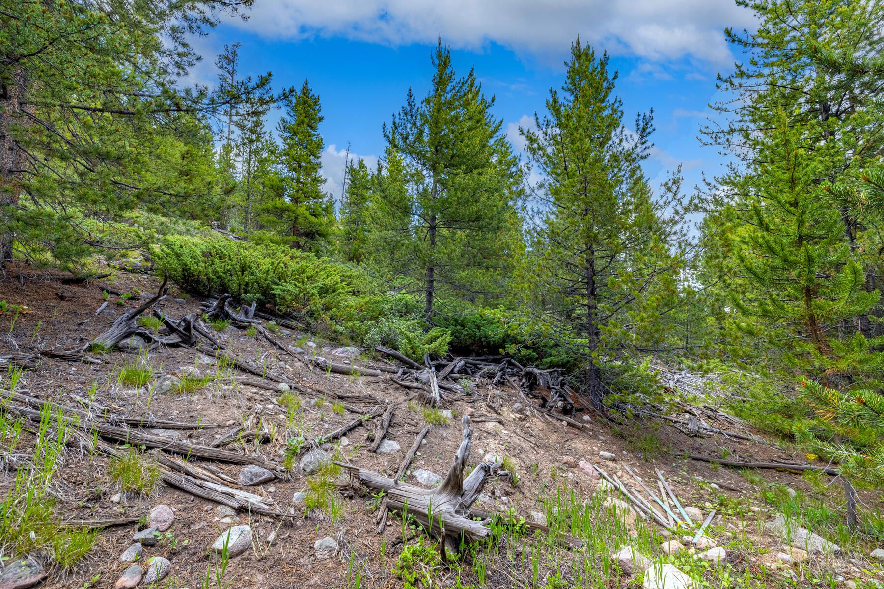  517 Giberson Lane, Frisco, CO, 80443 - 物件實景