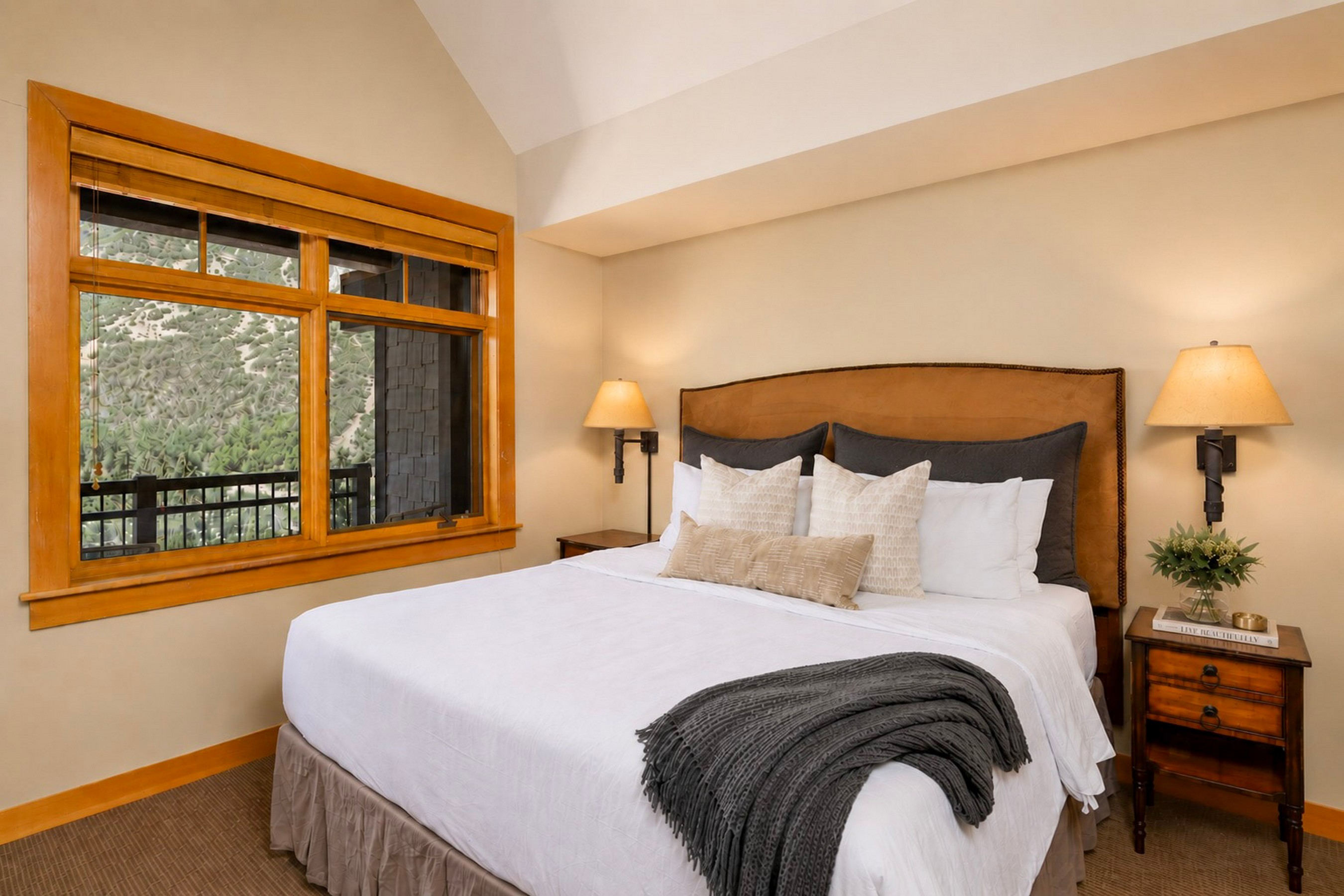  110 Carriage Way, Snowmass Village, CO, 81615 - 物件實景