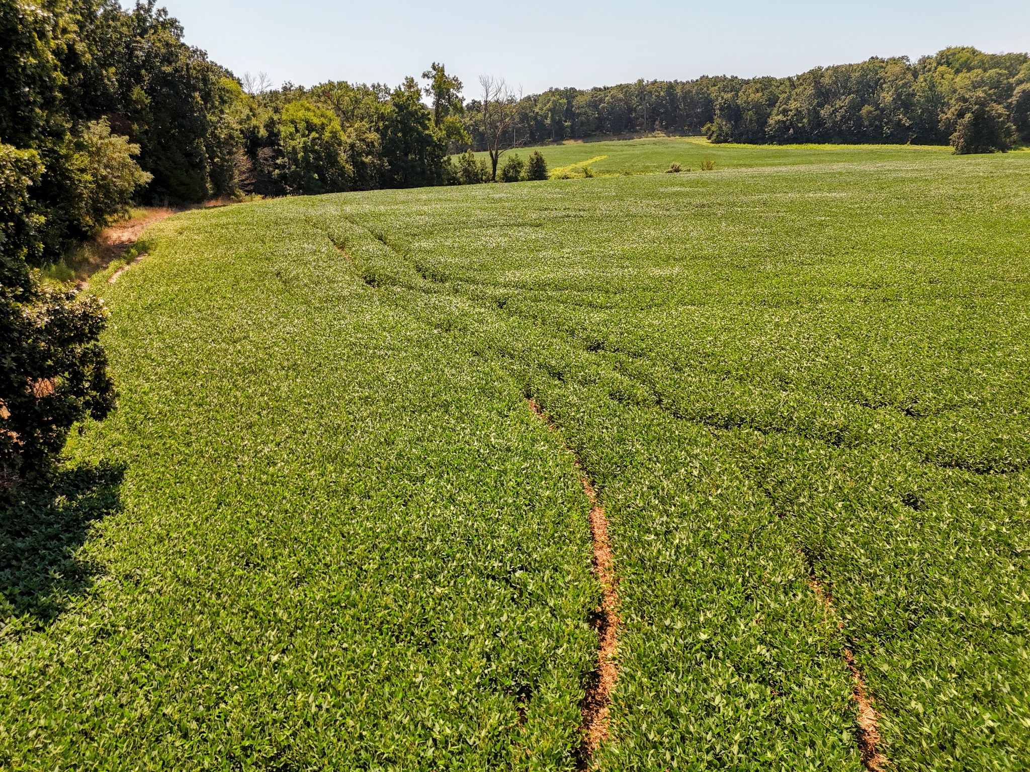 Monroe City, Missouri, 63456, United States, ,Land,For Sale,1980469