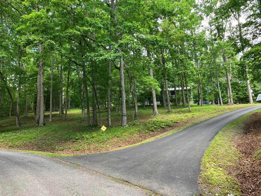Young Harris, Georgia, 30582, United States, 3 Bedrooms Bedrooms, ,3 BathroomsBathrooms,Residential,For Sale,1847113